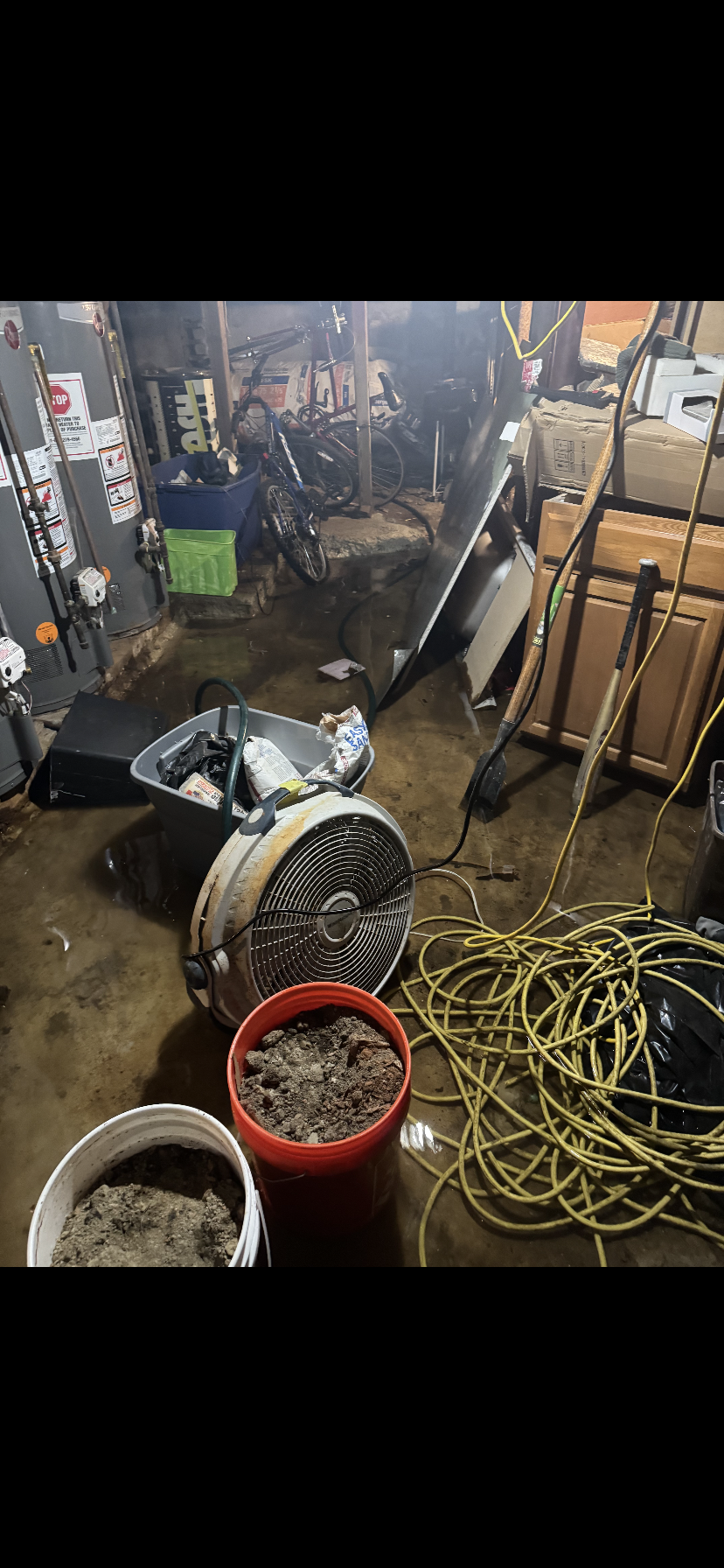 Basement Cleanout